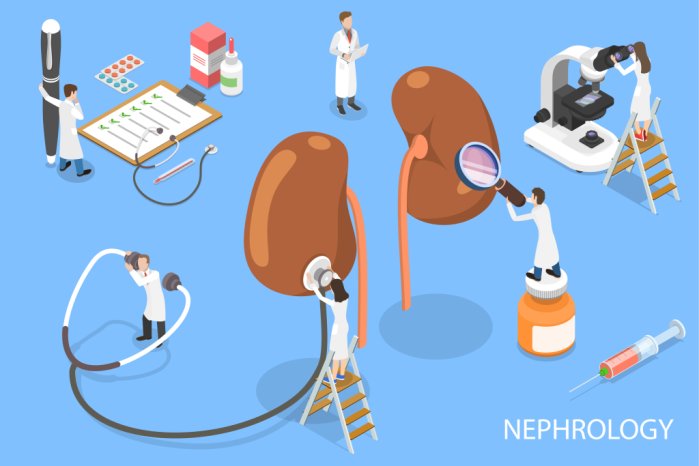 nephrology-101
